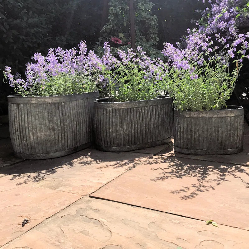 Nina 3 Piece Pot Planter Set | Wayfair North America