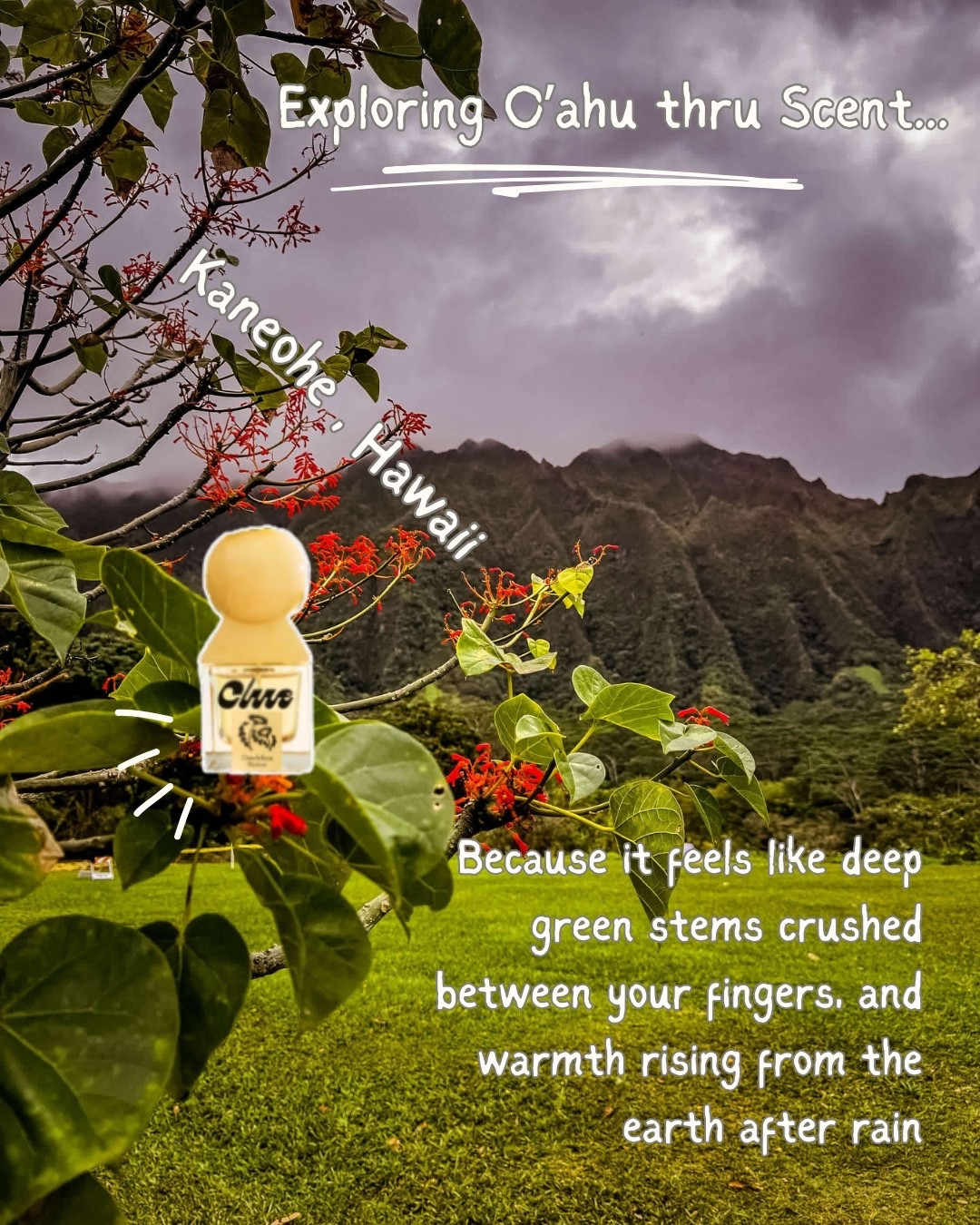 📍 Kaneohe, HI
Deep green that swallows the light. Lush and alive. Rain clinging to leaves. 

If Kaneohe were bottled it’d be Dandelion butter because it feels like deep green stems crushed between your fingers, warmth rising up from the earth and heavy clouds resting on the mountain peaks. 

#LTKBeauty #LTKdayinmylife #LTKselfcare