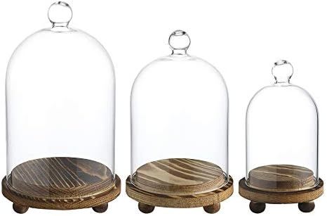 Mini Glass Display Dome Cloche with Wood Base, Set of 3 | Amazon (US)
