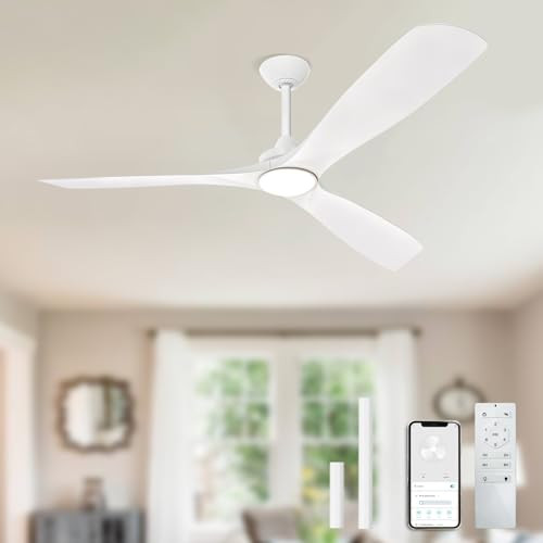 BvenuBigLite White Ceiling Fan with Light: 3 Blades Ceiling Fans with Remote and Smart APP Control - 60 Inch Ceiling Fan for Indoor Living Room Bedroom | Amazon (US)