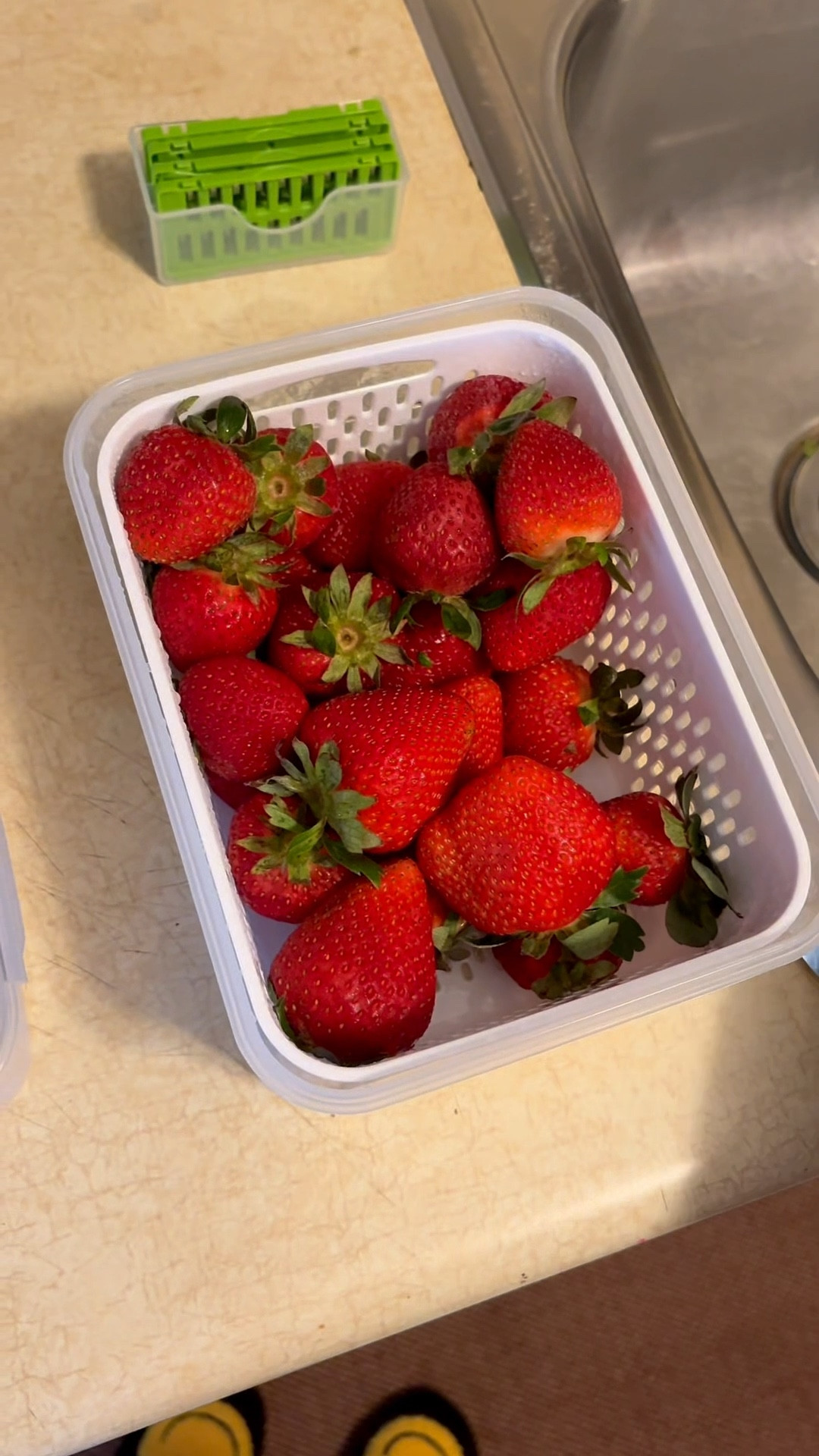 The best purchase I’ve made. My fruits stayed fresh for two weeks longer than they normally do. #kitchenfinds

Kitchen 
Kitchen finds
Fruit containers
Fruit storage containers
Fresh fruits
Food containers 

#LTKSaleAlert #LTKHome #LTKFindsUnder50