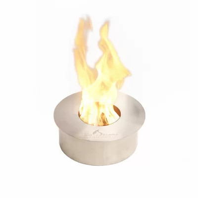 Bio-Ethanol Fireplace | Wayfair North America