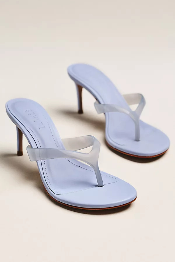 Schutz | Anthropologie (US)