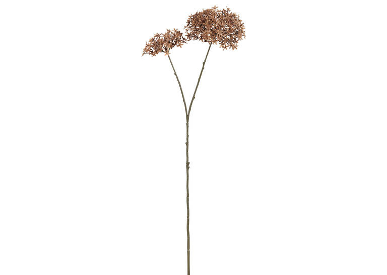 Dunne Allium Branch | Urban Barn