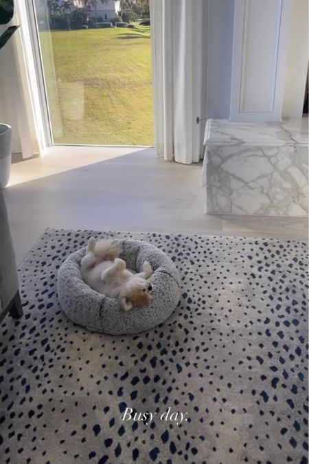 Lounging around 🤍 

home decor l rug l white rug l dog bed 