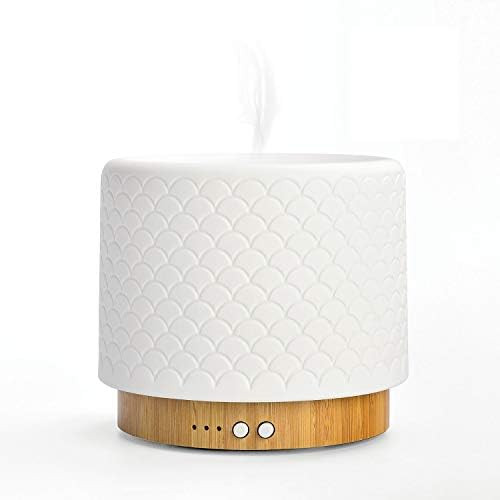 ZEIGGA LAB Essential Oil Diffuser 280ml Aromatherapy Diffuser for Large Room Small Humidifier with S | Amazon (US)