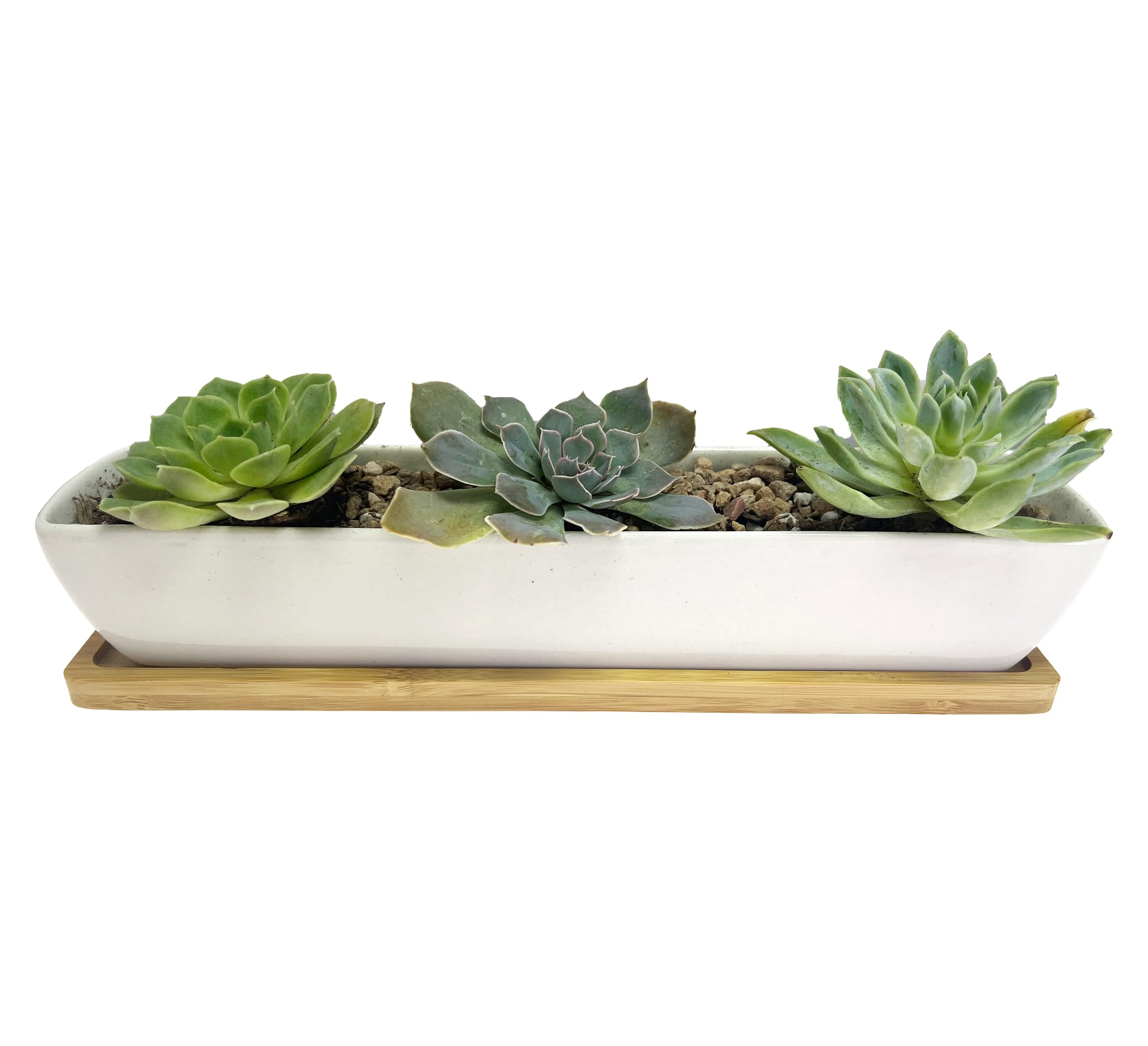 10.8inch White Ceramic Long Rectangular Succulent Planter Pot,Come with Bamboo Saucers for Office... | Amazon (US)