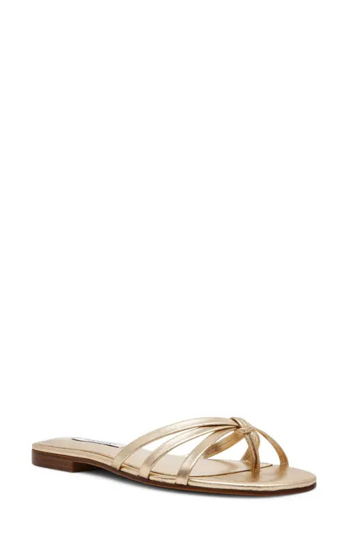 Steve Madden Calissi Flip Flop in Champagne Leather at Nordstrom, Size 7 | Nordstrom