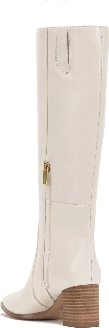 Lumina Pointed Toe Boot (Women) | Nordstrom