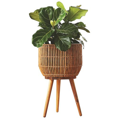 TOPDZHSHI 13 Inch Round Resin Rattan Planter, Indoor Plant Basket Stand with Acacia Wood Legs, Plastic Insert,Boho Orchid Pot Cover, for The Living Room, Dining Room, or sunroom,porches, (Brown) | Amazon (US)