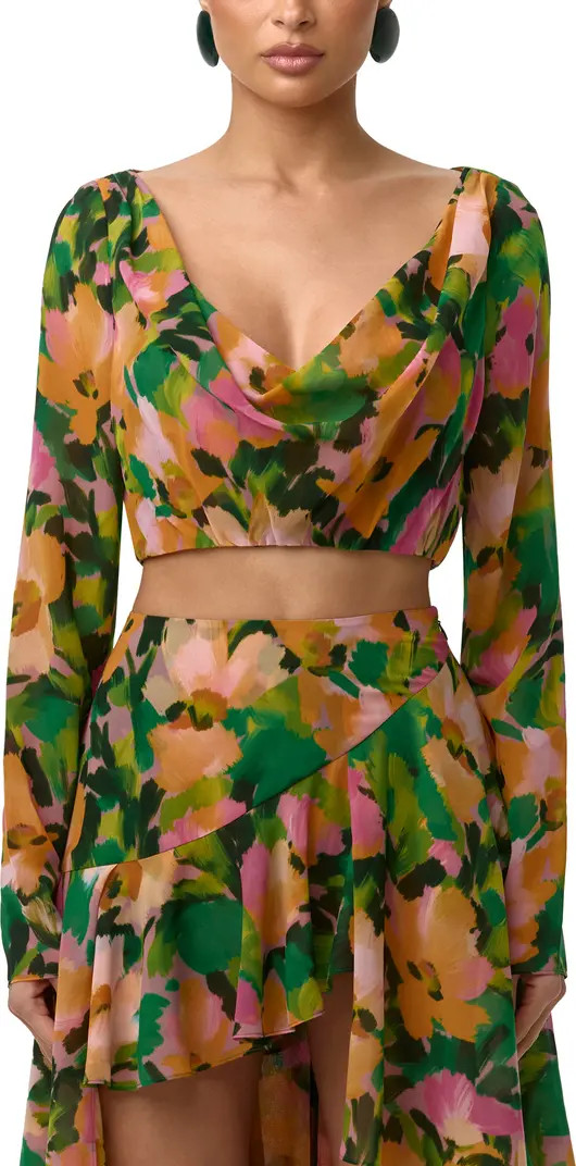 Floral Long Sleeve Chiffon Crop Top | Nordstrom