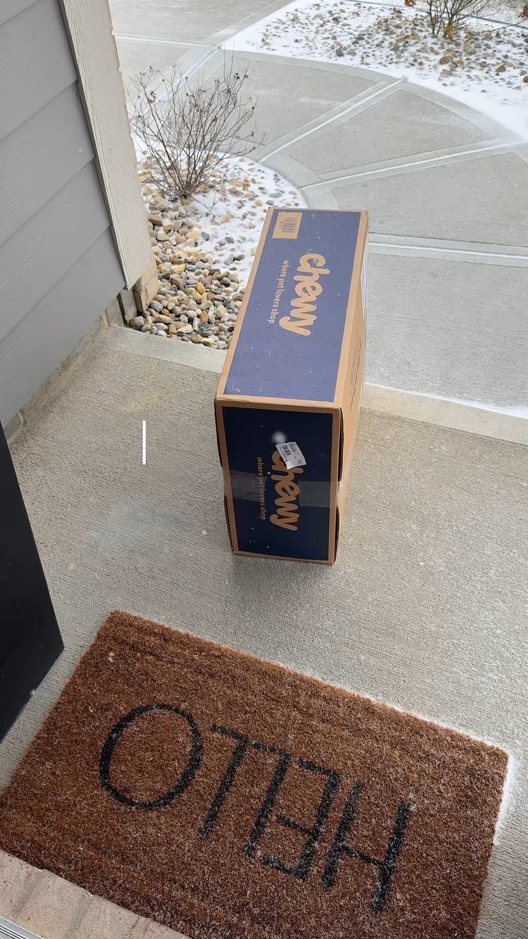 Never running out of dog food again 🙌🏻

@Chewy delivers right to my door, which matters more than people realize when you physically can’t haul a 40lb bag through the store.

Convenience + reliability = one less thing on my plate.

#LTKmomlife