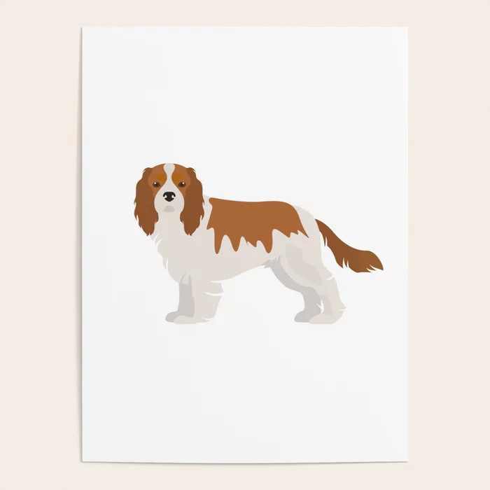 Cavalier King Charles Spaniel Poster | Society6