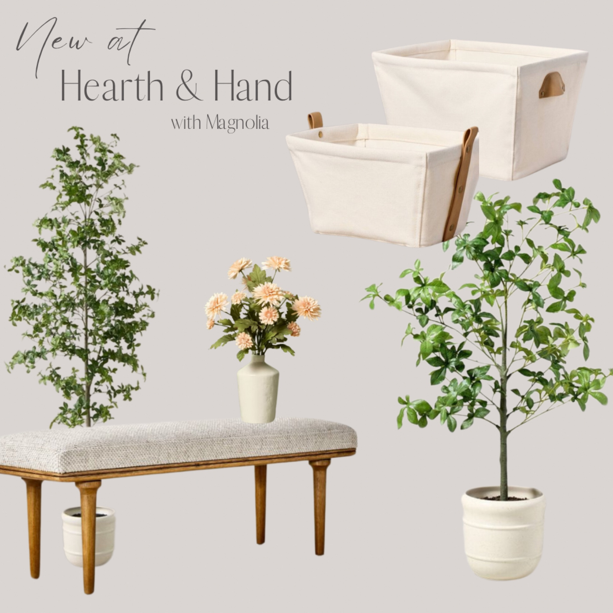 New Hearth & Hand! Coming 12.22 ✨🤍



#target #targethome #targetfinds #hearthandhand #bench #canvasstoragebin #springdecor #homeorganization #homedecor #pottedtree 

#LTKSeasonal #LTKHome #LTKFindsUnder50