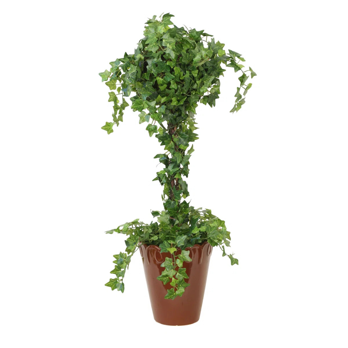 Mini Ivy Topiary in Scrolled Pot | Wayfair North America