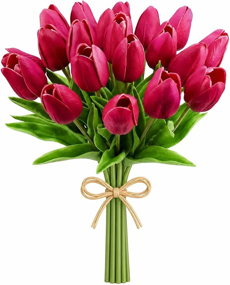 Mandy's 20pcs Artificial Hot Pink Tulips | Amazon (US)