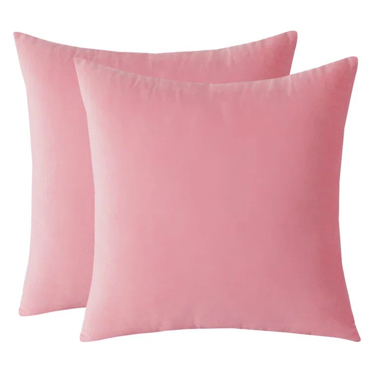 Christella Square Velvet Pillow Cover (Set of 2) | Wayfair North America