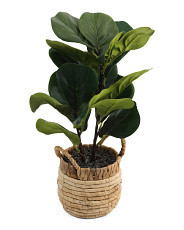 20in Fiddle Fig In Natural Handle Basket | Home Essentials | Marshalls | Marshalls