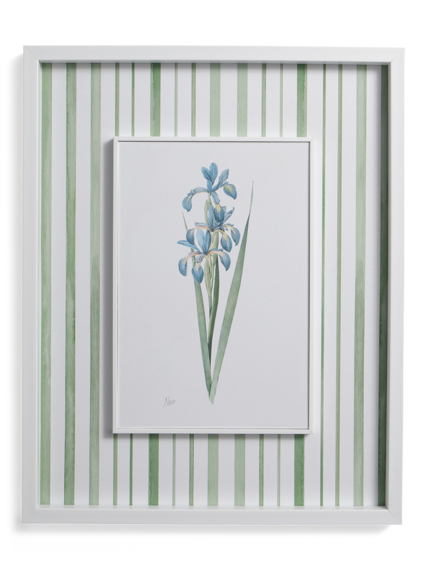 16x20 Irises Wall Art | TJ Maxx