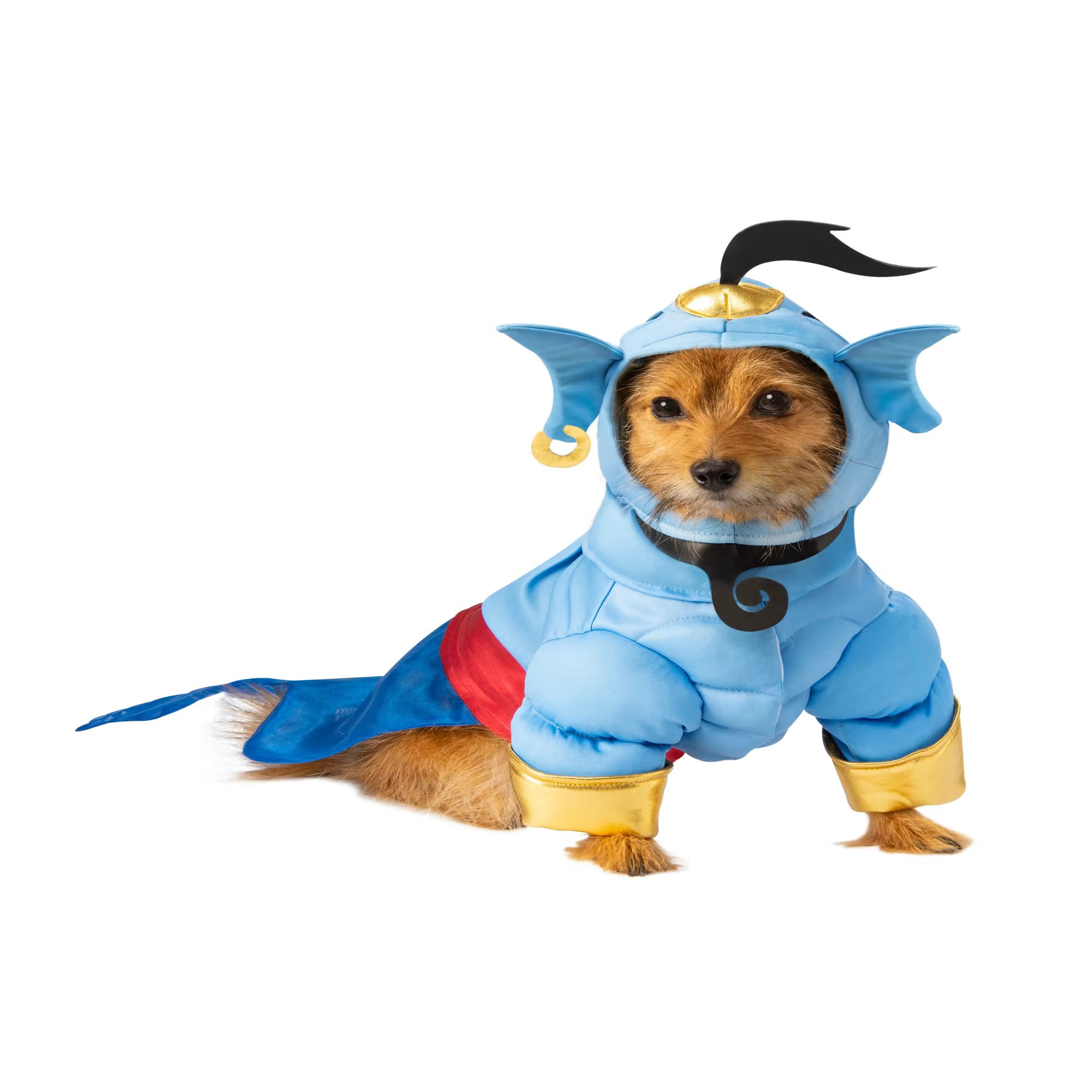 Rubie's Pet Shop Aladdin Genie Dog Costume, Small | Petco