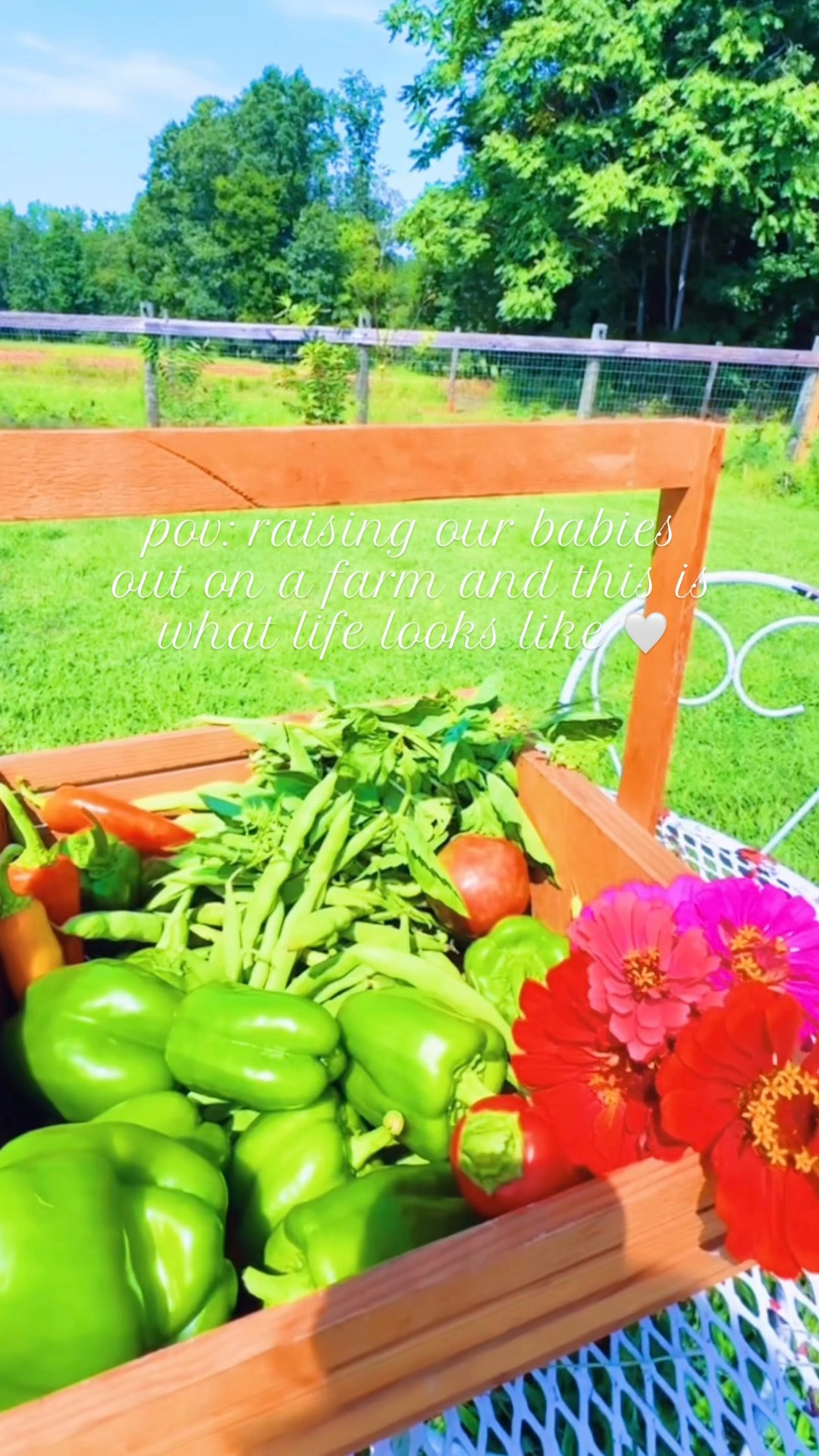 l o v e  t h i s  l i t t l e  l i f e  o f  o u r s 👩‍🌾🪴🚜🌅🦌🦋🌾🌳🌼👶🏼🧺🌶️🫛🍅💐🫑🐓🥚☀️🎨🖌️⚓️🚤🖼️📖📚 #lifeonthefarm #sahm #homeschoolmama #farmlife #countryliving 

Yesterday was a sweet evening 🌅 out here around the farm with “Dada” cutting the grass 🚜 (& the boys getting to go for a “ride” ofcourse 🤭), walking to visit a neighbor 🫶🏽, and some backyard baseball ⚾️ as the sun was going down!! 🌞 

And then loved having my firstborn buddy 👶🏼🩵 join mama on my morning run 🏃‍♀️ this AM - look at that little cutie go!!! 💨🤭 Plus, will never get over how  d r e a m y ✨  my morning coffee ☕️ views are here !! 🤍🐴🦌 

In honor of our beach week 🏝️ homeschool preschool unit (& leaving for the beach 🏖️ tonight - woohoo 🥳), Judson got to paint 🎨 a boat 🚤 and look how detailed it was!! He loves art 🖼️ just like his mama !!! 🩵

Lastly, nothing better than an abundant “pre-beach trip” garden harvest!!!! 🪴🧺🫑🍅🫛🌶️🦋💐🌿 And this sweet baby 👶🏼 lovesssss his chickies 🐓 !!!! I mean… cutest thing ever, he could sit and play with them all day long (& usually does 🤭)!!! 🫶🏽