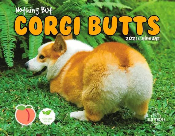 Corgi Butts 2021 Funny Dog Calendar | Perfect Gift for Dog Lovers, White Elephant and Secret Sant... | Etsy (US)