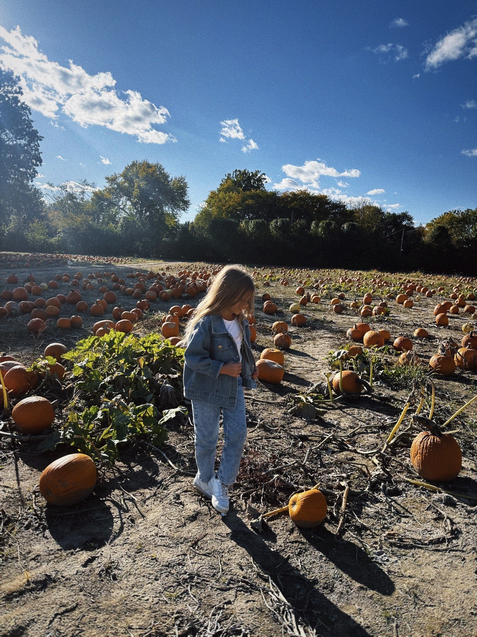 Custom patch denim jacket is her favorite. Love a denim on denim look🥰

#LTKStyleTip #LTKFindsUnder50 #LTKKids