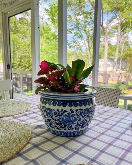 I love a pop of blue & white anywhere I can put it! These pots are such a pretty addition to any space indoors or out! #gardening #Wayday

#LTKhome #LTKSeasonal #LTKGiftGuide