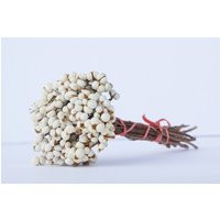 Dried Tallow Berry - Imported | Etsy (US)