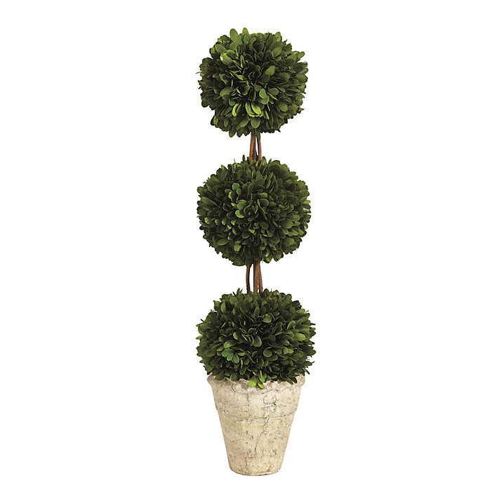 Preserved Boxwood Topiary Dried Potted Tree | Ballard Designs, Inc.