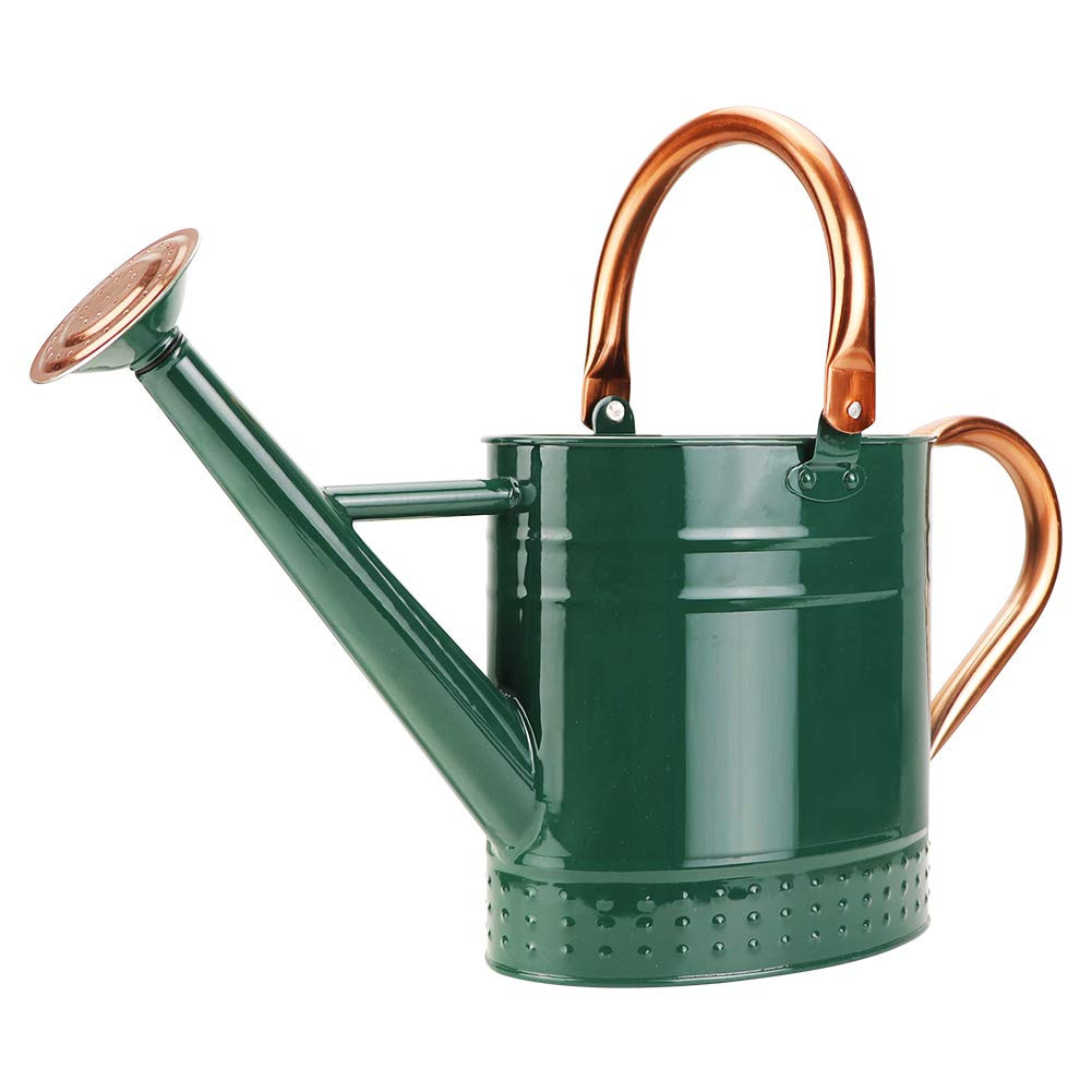 1 Gallon Metal Watering Can with Removable Spout, Nice Galvanized Steel Water Can with Embossed D... | Amazon (US)
