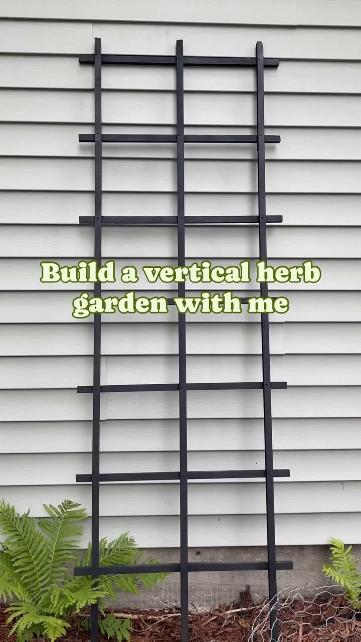 ✨What is your favorite herb? I think mine is dill. I love using it in pickles, cucumber salads, fish, with potatoes—everything, really. 

Last summer I had every intention of bringing this indoors so I could have herbs all winter but I forgot about it 😜 oops 

In this herb planter I have: 
🌱dill
🌱rosemary 
🌱parsley (x 2 on accident)
🌱basil 
🌱lemon grass (not sure what to do with that yet)
🌱cat nip 
🌱microgreens 
🌱spinach 
🌱thyme 

I also have a section of my garden that is filled with herbs (oregano, mint-in a pot, thyme, more basil, and dill). I want to see which one does better for my situation. 

You can find the supplies I used in my Amazon Storefront or LTK (🔗 in bio) 

#gardening #herbgarden #trellisgarden #thejourneysofjade 

It’s me, hi. I’m Jade! If you love your pets, plants, pottery, and thrifting, you’re in the right place. Follow along and join the journey!

#LTKSeasonal #LTKVideo #LTKFindsUnder100