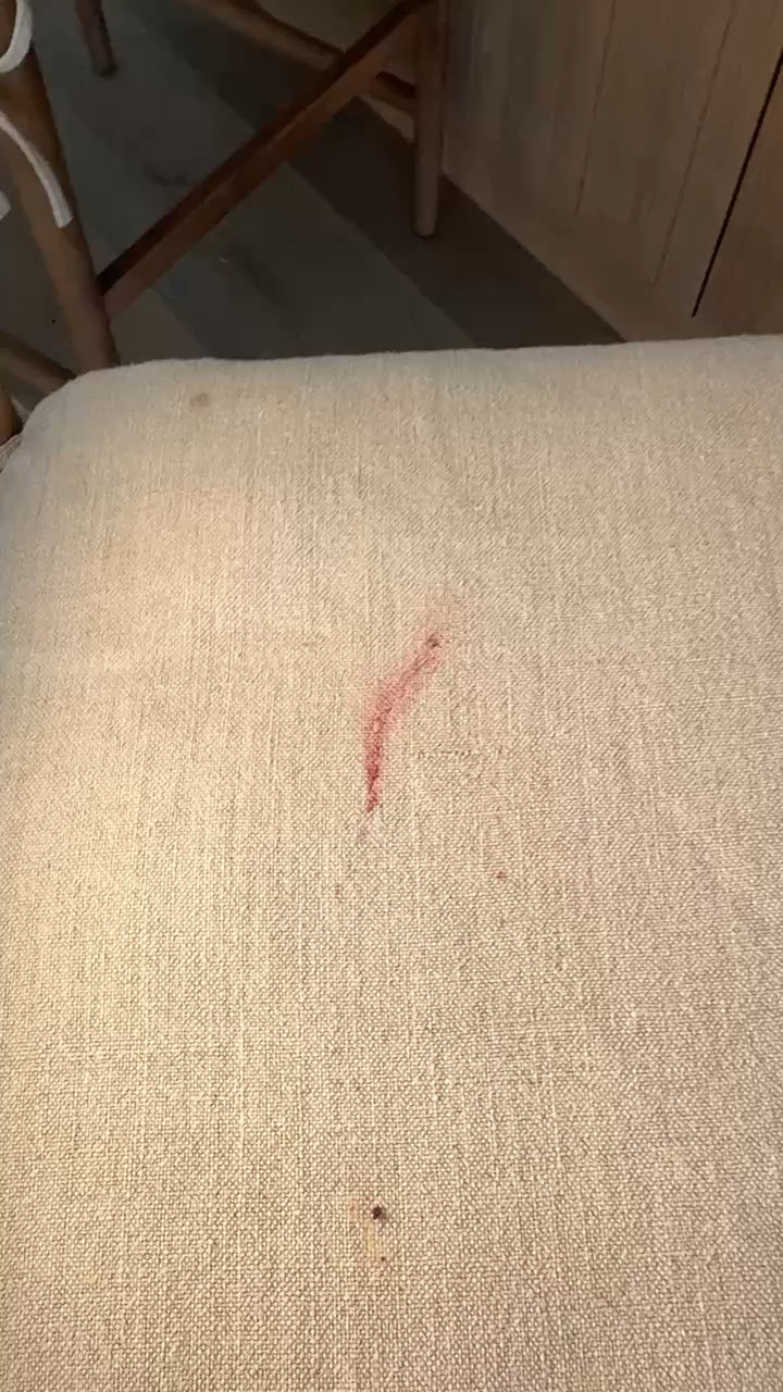 The best stain remover that will remove any food stain!

#LTKKids #LTKHome #LTKFindsUnder50