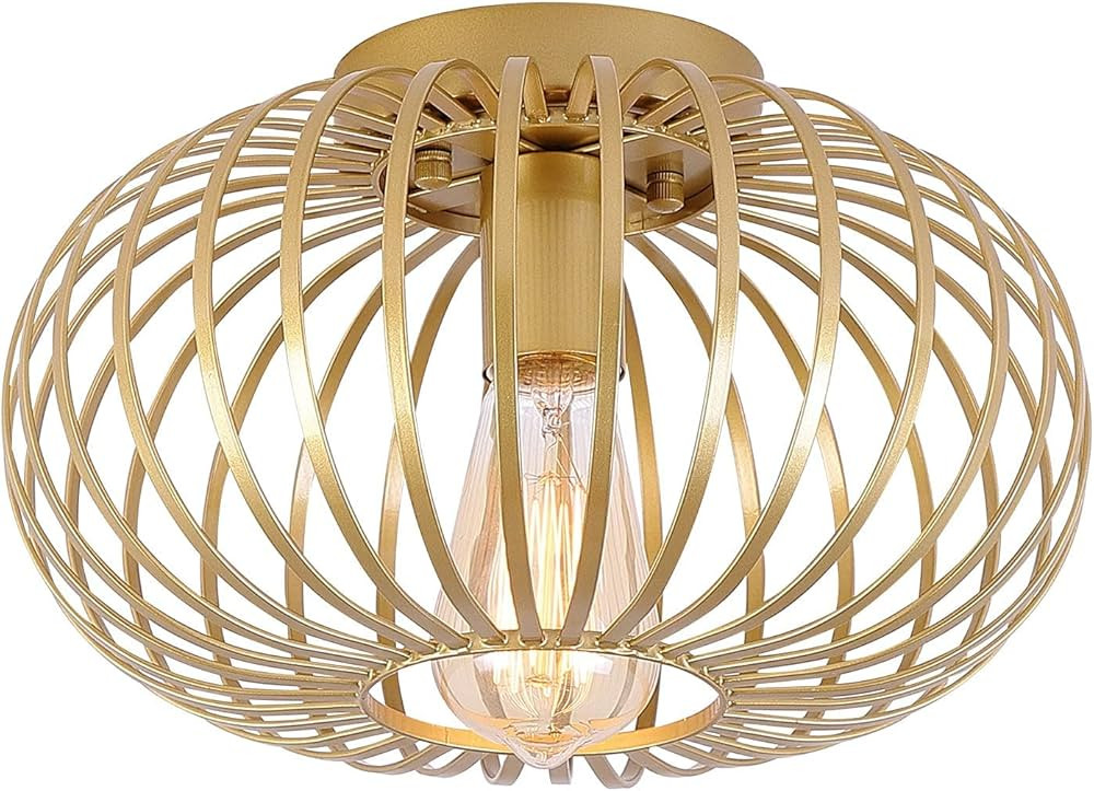 Modern Gold Flush Mount Light Fixture Metal Cage Single Semi Flush Mount Ceiling Light for Hallwa... | Amazon (US)