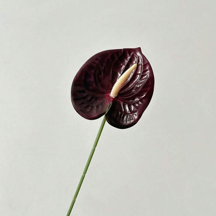1PC/3PCS/5PCS Artificial Anthurium Lily Flowers(Black Red) For Wedding Office Party Hotel Home Table OrnamentDeco | SHEIN