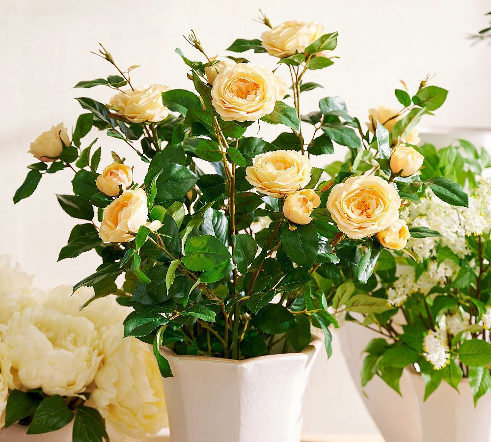 Faux Yellow Garden Rose Bundle | Pottery Barn (US)