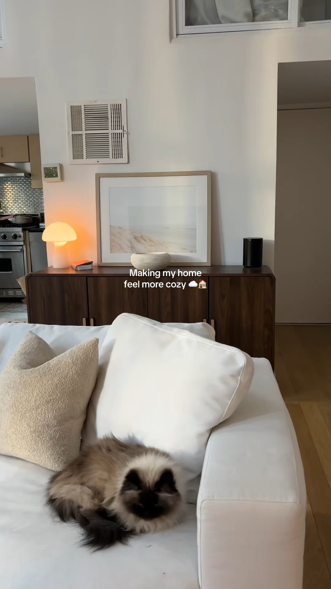 Cozy nyc apartment home #apartmenttour #apartmentdecor #homedecor #neutralhome #homeinspo #nycapartment 

#LTKPets #LTKHome