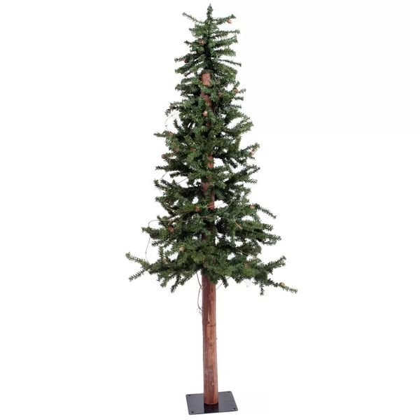 Alpine Tree with Pine Cones & Vine 3' Artificial Christmas Tree with Unlit | Wayfair North America