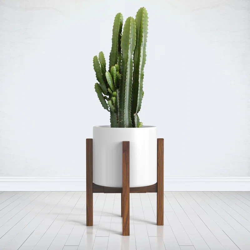 Square Modern Plant Stand | Wayfair North America