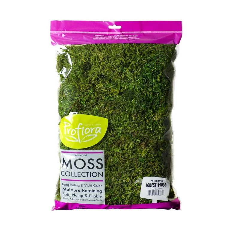 Forest Moss Pr Hb8 | Walmart (US)
