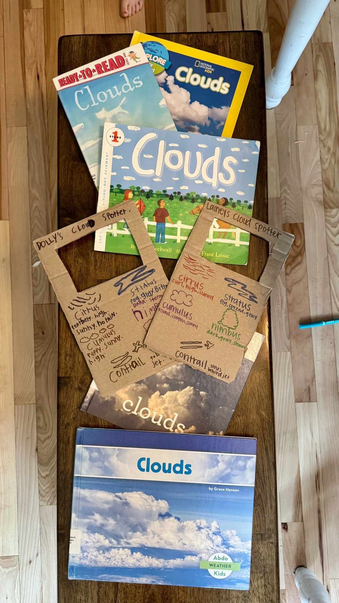Cloud study! ☁️ We made our own cloud spotters and read five different books all titled “Clouds” 😂

#LTKmomlife #LTKKids