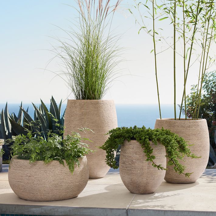 Curved Ficonstone Indoor/Outdoor Planters | West Elm (US)