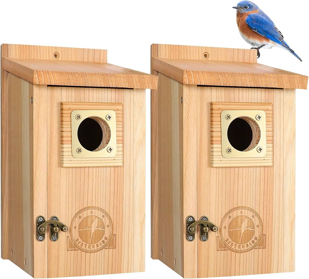 2 Pack Bird Houses for Outside Clearance with Copper Guard, Cedar Bird House Outdoor, Bluebird Fi... | Amazon (US)
