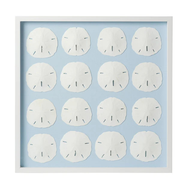 Sand Dollar Framed Art - Light Blue | Cailini Coastal