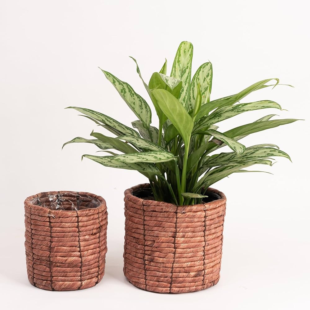 Set of 2 Water Hyacinth Planter Pot Indoor for Plant, Flower Pot, Succulent Pot, Basket Planter, ... | Amazon (US)