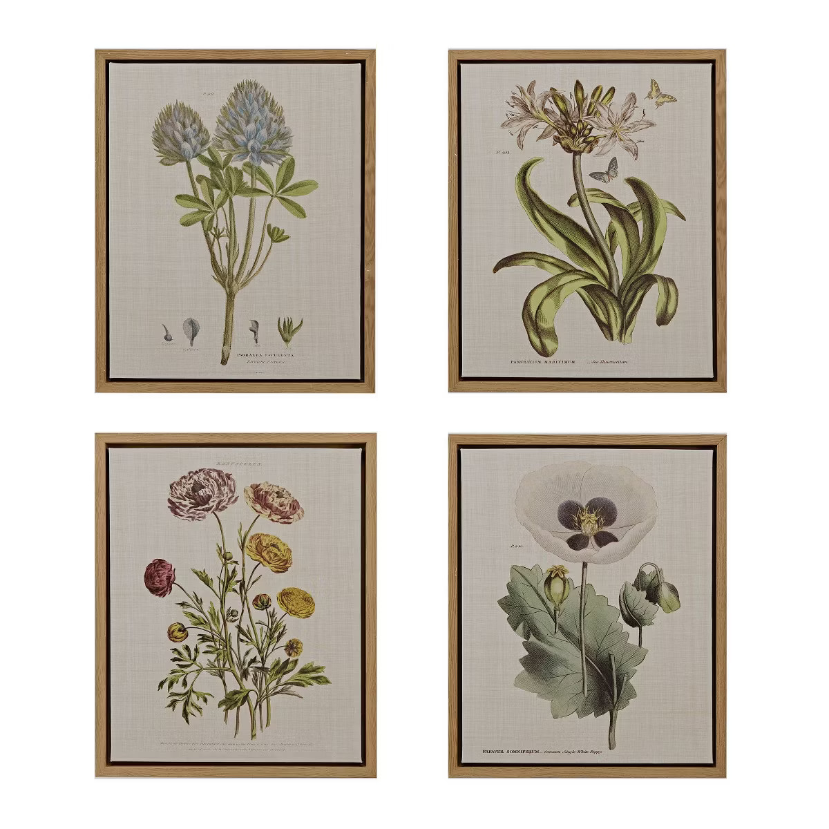 4pc Herbal Botany Framed Linen Canvas Green - Martha Stewart | Target