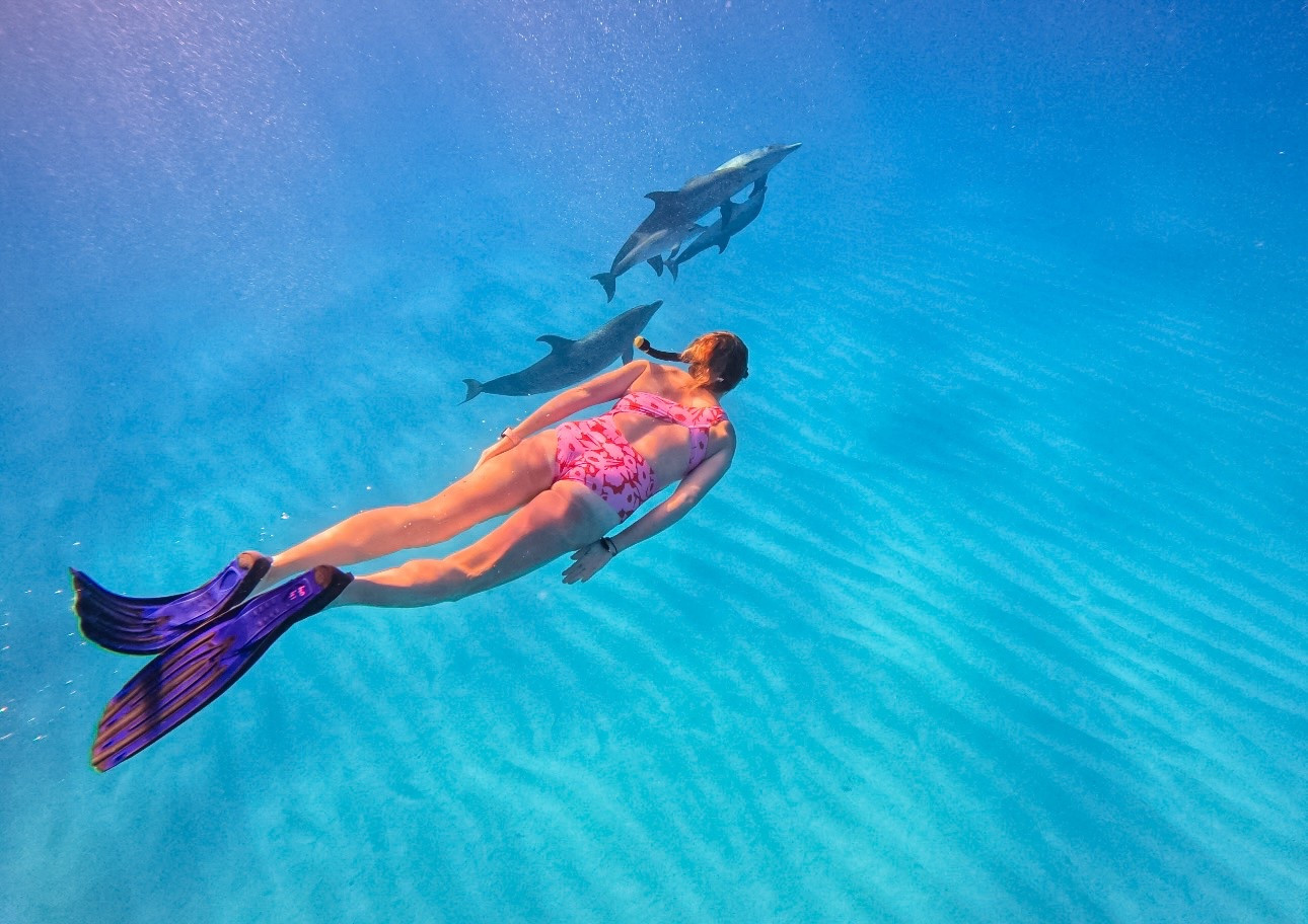 Caribbean Cruise SWIM HAUL

#LTKSwim #LTKTravel #LTKSeasonal