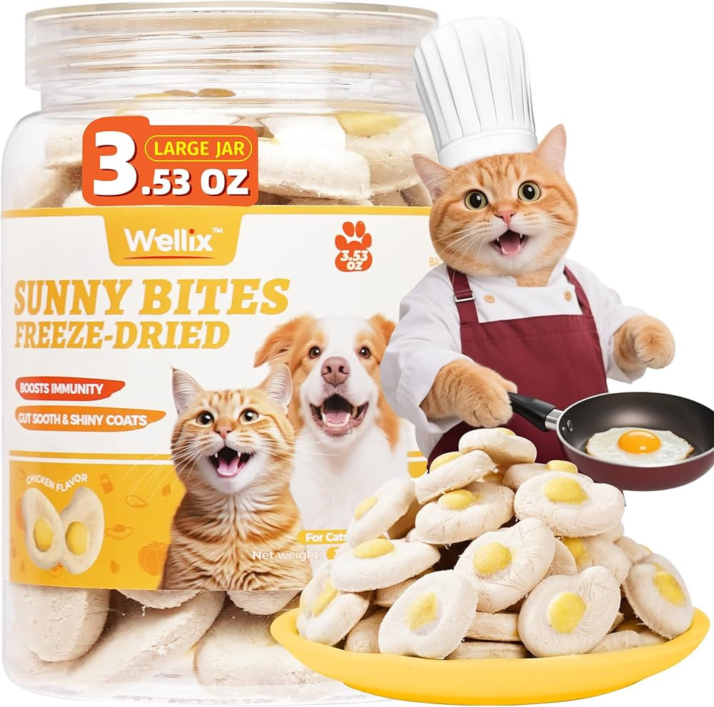 Wellix Sunny Bites Freeze Dried Chicken Treats for Cat&Dog - Healthy Cat Treats for Indoor Cats -... | Amazon (US)