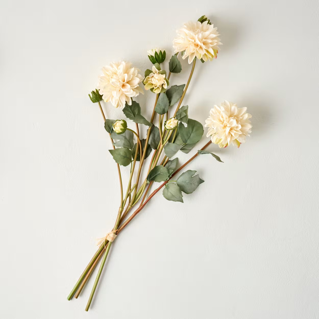 Dahlia Bloom Bundle | Magnolia