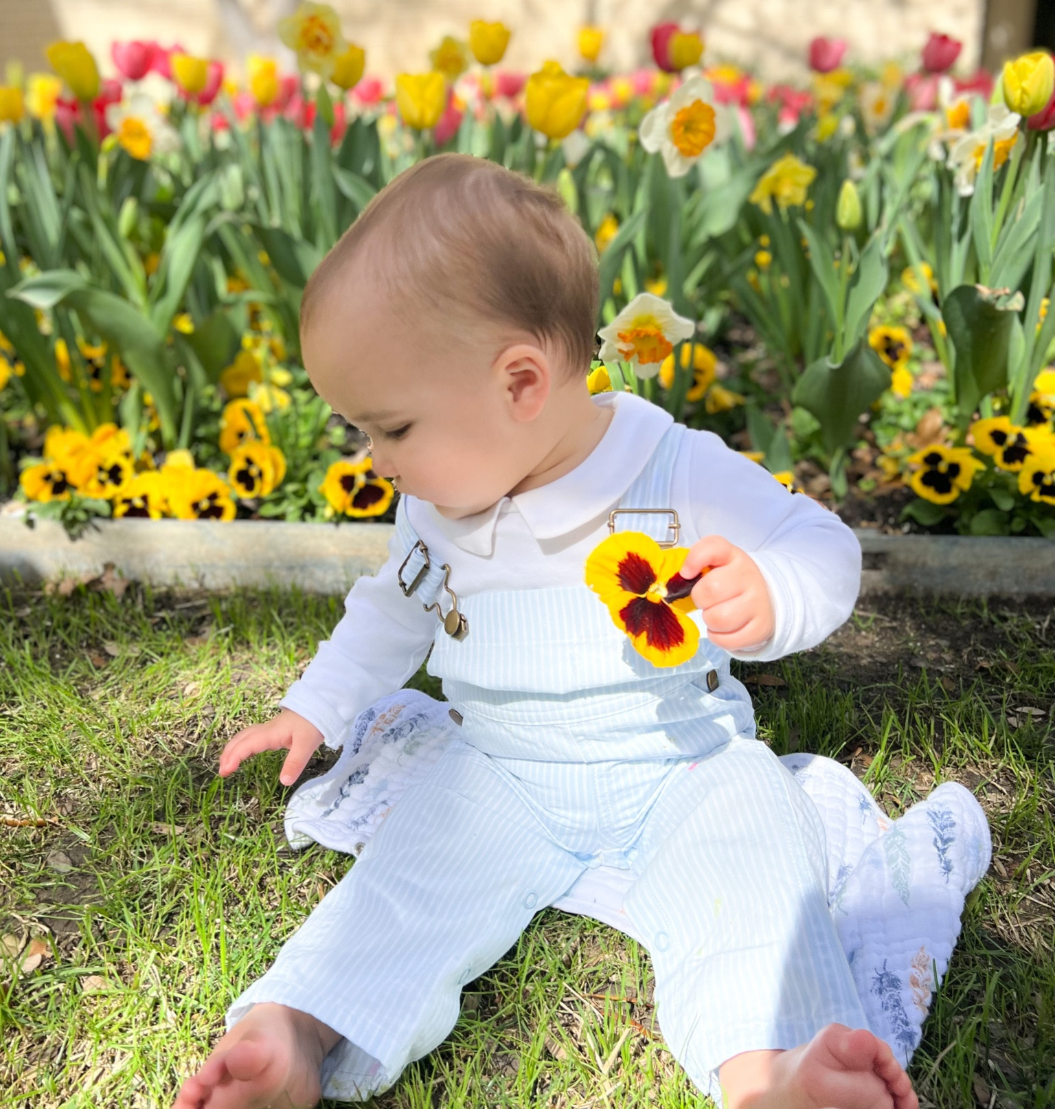 Baby Overalls 🌷🌸

#LTKbaby #LTKFind #LTKSale